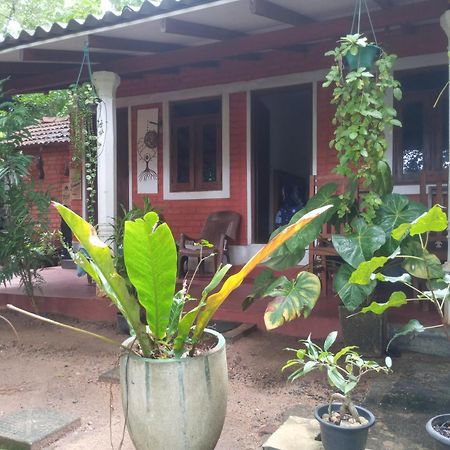 Angry Birds Homestay Habarana Szoba fotó