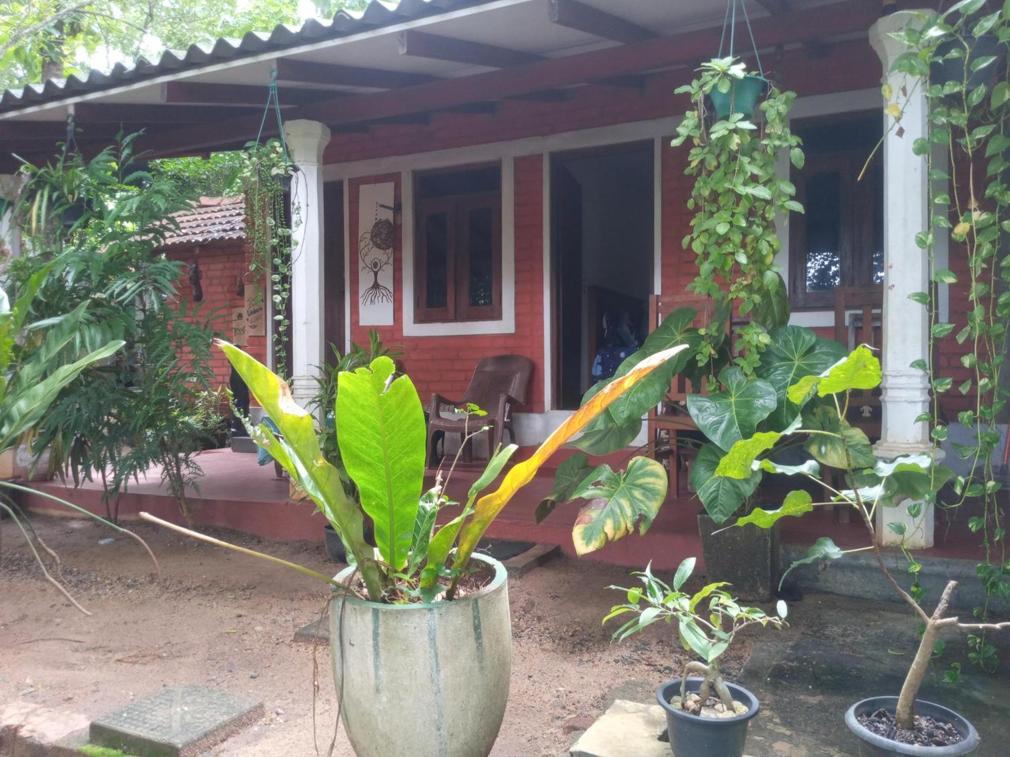 Angry Birds Homestay Habarana Szoba fotó